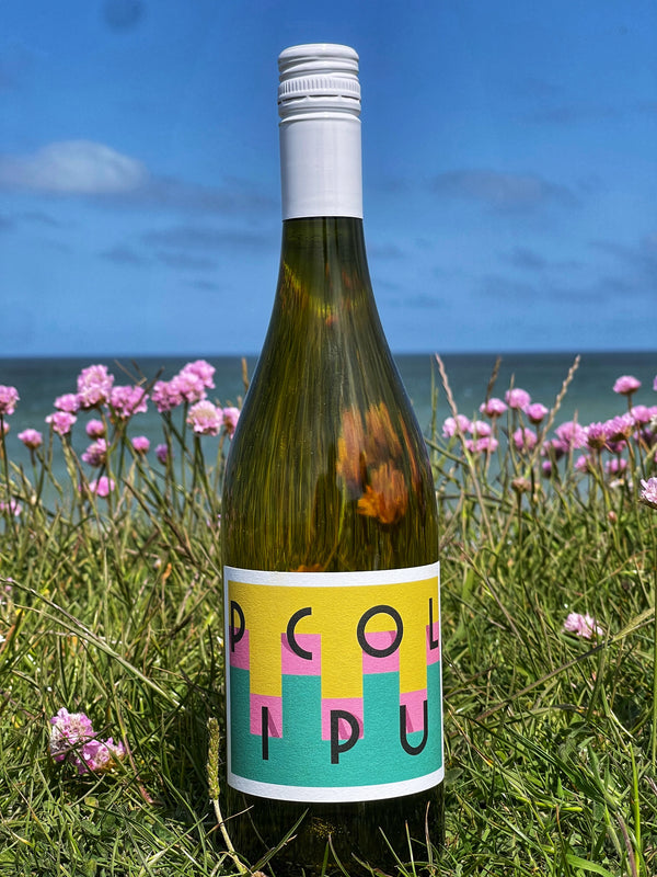 2024 Picpoul de Pinet - Christophe Muret