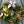 Wreath Making Workshop & Mulled Wine December 3rd @ 6pm
